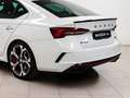 Skoda Octavia 2.0 TSI RS DSG7 195kW Bianco - thumbnail 14