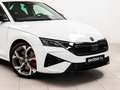Skoda Octavia 2.0 TSI RS DSG7 195kW Bianco - thumbnail 9