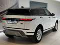 Land Rover Range Rover Evoque Evoque 163cv MHEV AUTOCARRO N1 + IVA Bianco - thumbnail 2