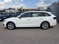 Skoda Octavia Combi 2,0 TDI Style DSG | NP: €47.600 Weiß - thumbnail 6