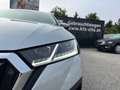 Skoda Octavia Combi 2,0 TDI Ambition | MATRIX/ACC Silber - thumbnail 32