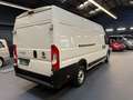 Fiat Ducato Maxi Kastenwagen L5H2 Klima Tempomat Blanc - thumbnail 7