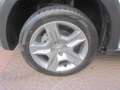 Dacia Sandero Stepway 1.0 SCe 75 CV (ok anche neopatentati) Bianco - thumbnail 15