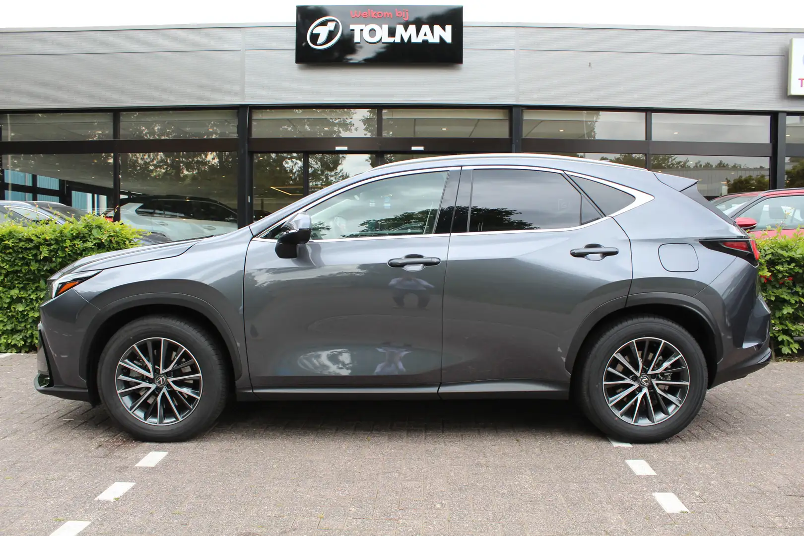 Lexus NX 450h+ AWD Luxury Line Plug-in Hybrid | Rijklaar | Afn.tr Grijs - 2