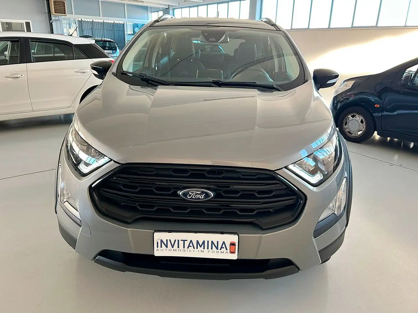 Ford EcoSport 1.0 ecoboost 125cv s&s Active Grigio - 2