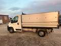 Fiat Ducato 30 2.3 MJT 120CV Weiß - thumbnail 7