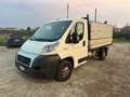 Fiat Ducato 30 2.3 MJT 120CV Weiß - thumbnail 1