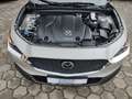 Mazda CX-30 Selection SKYACTIV-X M Hybrid HUD Navi LED Dyn. Ku Beige - thumbnail 14