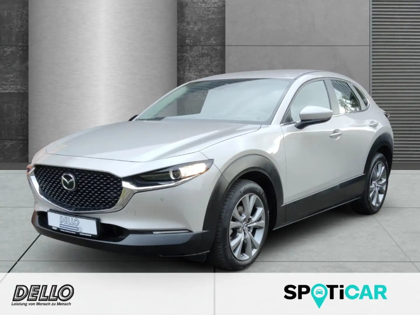 Mazda CX-30 Selection SKYACTIV-X M Hybrid HUD Navi LED Dyn. Ku Beige - 1