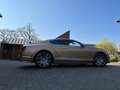 Bentley Continental GT SPEED W12 LIMITED 1 OF 21 GOLD NEUF 1PROPRIO ! Goud - thumbnail 16