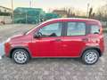 Fiat Panda Panda III 1.0 firefly hybrid Gris - thumbnail 3