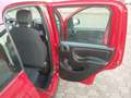 Fiat Panda Panda III 1.0 firefly hybrid Gris - thumbnail 12