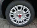 Fiat Panda Panda III 1.0 firefly hybrid Gris - thumbnail 15