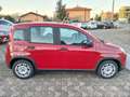 Fiat Panda Panda III 1.0 firefly hybrid Gris - thumbnail 7