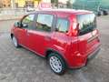 Fiat Panda Panda III 1.0 firefly hybrid Gris - thumbnail 4
