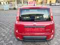 Fiat Panda Panda III 1.0 firefly hybrid Gris - thumbnail 5