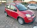 Fiat Panda Panda III 1.0 firefly hybrid Gris - thumbnail 8