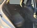 Lexus NX 350h Executive+ 4WD Blanco - thumbnail 8