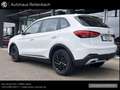 MG ZS ZS HYBRID+ STD RFK+ACC+LKA+KLIMA+NAVI+DAB Weiß - thumbnail 3