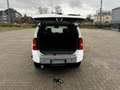 Nissan Pathfinder X-TERAA 4.0 V6 Weiß - thumbnail 9
