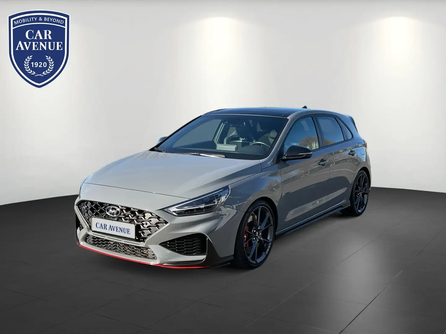 Hyundai i30 N Performance Grau - 1