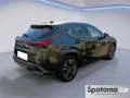 Lexus UX 250h UX Hybrid Premium Grün - thumbnail 20
