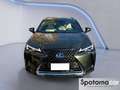 Lexus UX 250h UX Hybrid Premium Grün - thumbnail 5