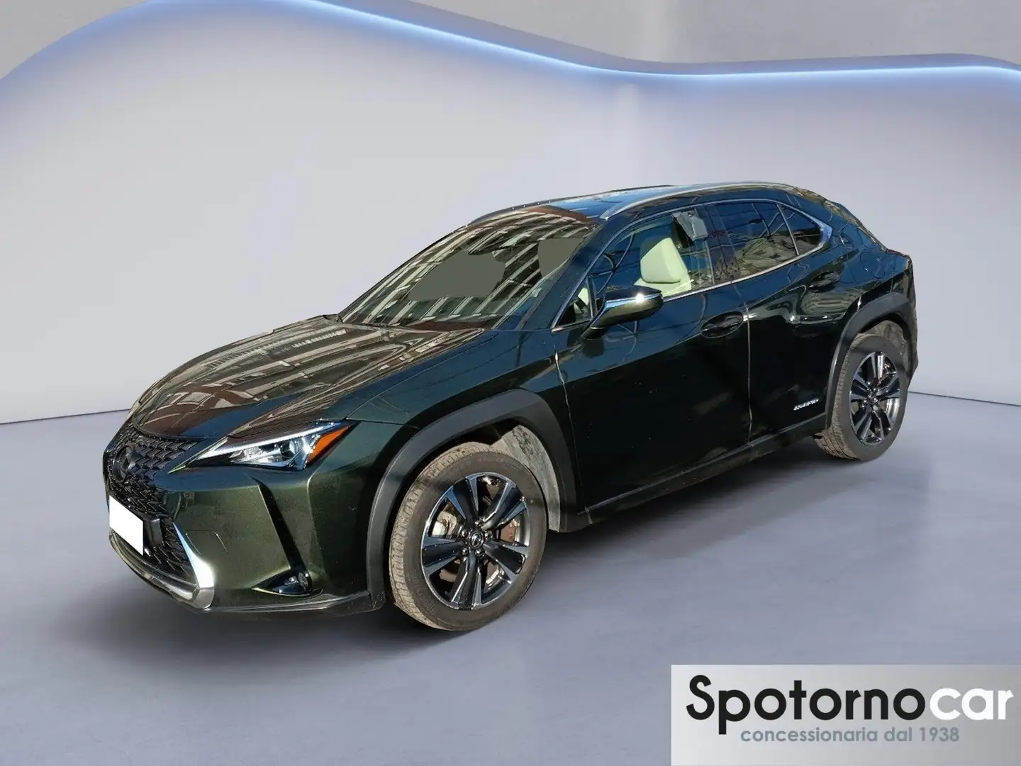 Lexus UX 250h UX Hybrid Premium Grün - 1
