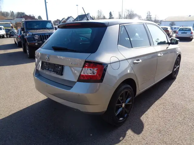 Skoda Fabia view 4