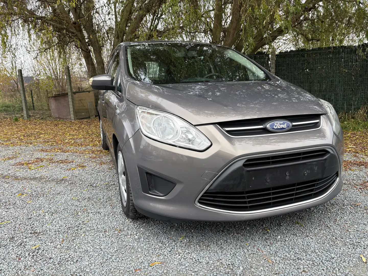 Ford B-Max Essence 1.6 Brons - 2