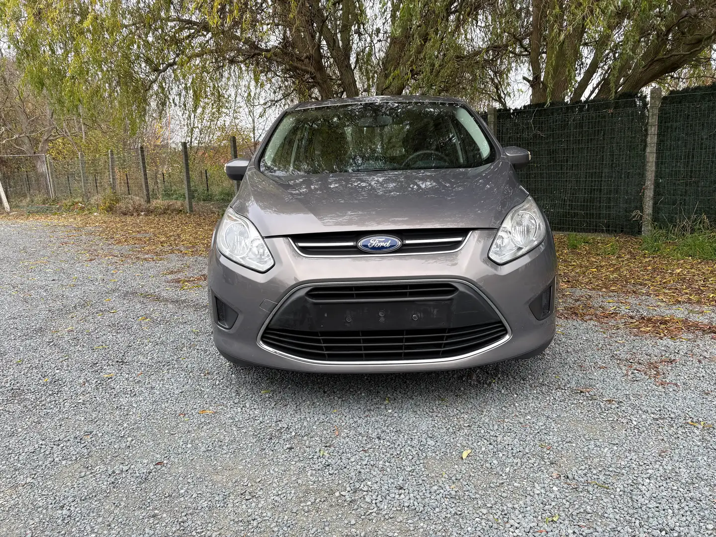 Ford B-Max Essence 1.6 Brons - 1