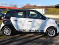 smart forFour electric drive / EQ (453.091) FrontAssistent LED Weiß - thumbnail 7