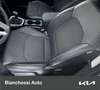 Kia XCeed 1.5 T-GDi 160 CV MHEV iMT Business - thumbnail 14