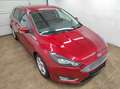 Ford Focus 1.0  NAVI KLIMAA LED PDCv+h EMP BC SHZ USB EURO-6 Rot - thumbnail 19