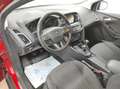 Ford Focus 1.0  NAVI KLIMAA LED PDCv+h EMP BC SHZ USB EURO-6 Rot - thumbnail 36