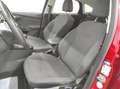 Ford Focus 1.0  NAVI KLIMAA LED PDCv+h EMP BC SHZ USB EURO-6 Rot - thumbnail 31