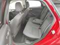 Ford Focus 1.0  NAVI KLIMAA LED PDCv+h EMP BC SHZ USB EURO-6 Rot - thumbnail 11