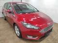 Ford Focus 1.0  NAVI KLIMAA LED PDCv+h EMP BC SHZ USB EURO-6 Rot - thumbnail 20