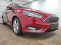 Ford Focus 1.0  NAVI KLIMAA LED PDCv+h EMP BC SHZ USB EURO-6 Rot - thumbnail 21