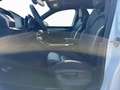 Skoda Kodiaq RS 2.0 TSI 265 PS DSG7 4X4 Blanc - thumbnail 3