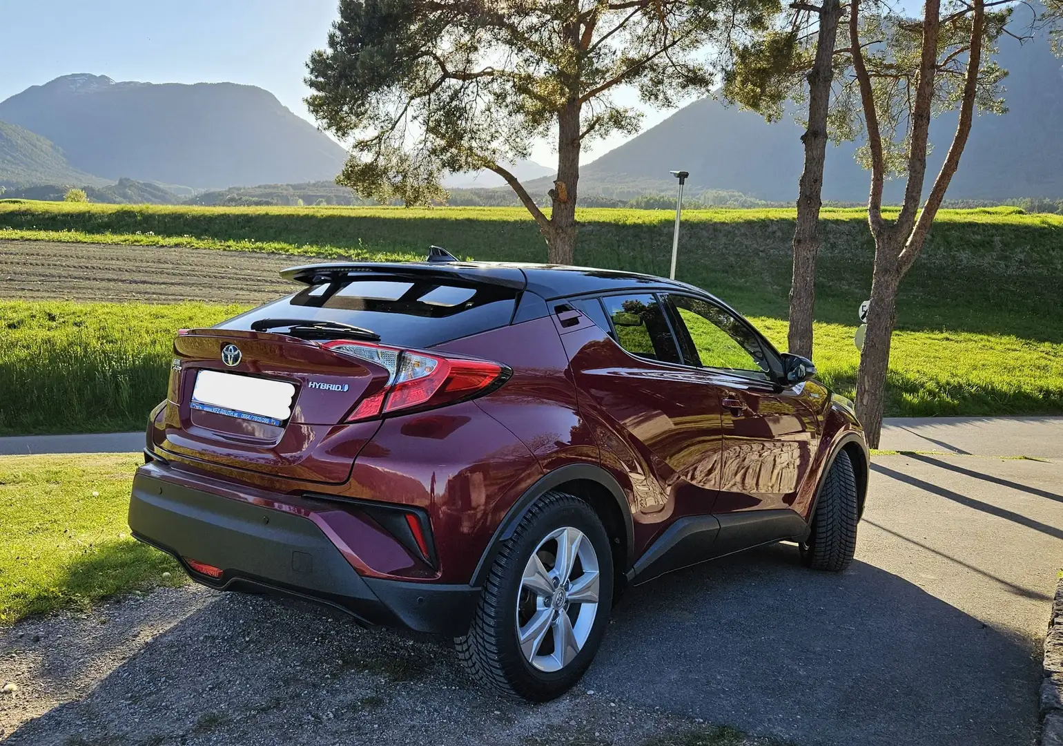 Toyota C-HR C-HR 1,8 Hybrid C-LUB CVT C-LUB Rot - 2