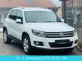 Volkswagen Tiguan Sport & Style BMT Blanc - thumbnail 9