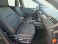 Ford Kuga 1.5 EcoBlue ST-Line FWD 120 Aut. Gris - thumbnail 19