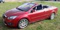 Ford Focus CC Focus C.C. 2.0 Titanium Titanium Burdeos - thumbnail 2