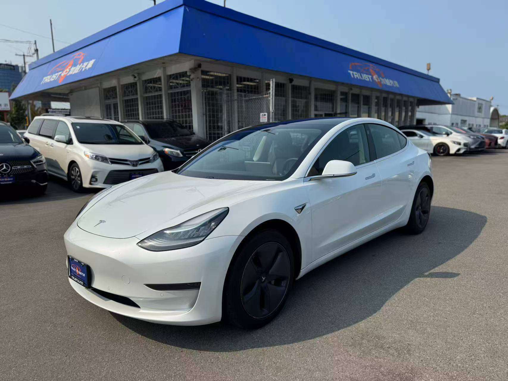 2020 Tesla Model 3 Standard Range Plus |NO ACCIDENT |ONE OWNER|BC CAR