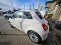 Fiat 500 1.0 hybrid Dolcevita 70cv White - thumbnail 4