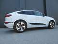 Audi Q6 e-tron e-tron quattro Weiß - thumbnail 12
