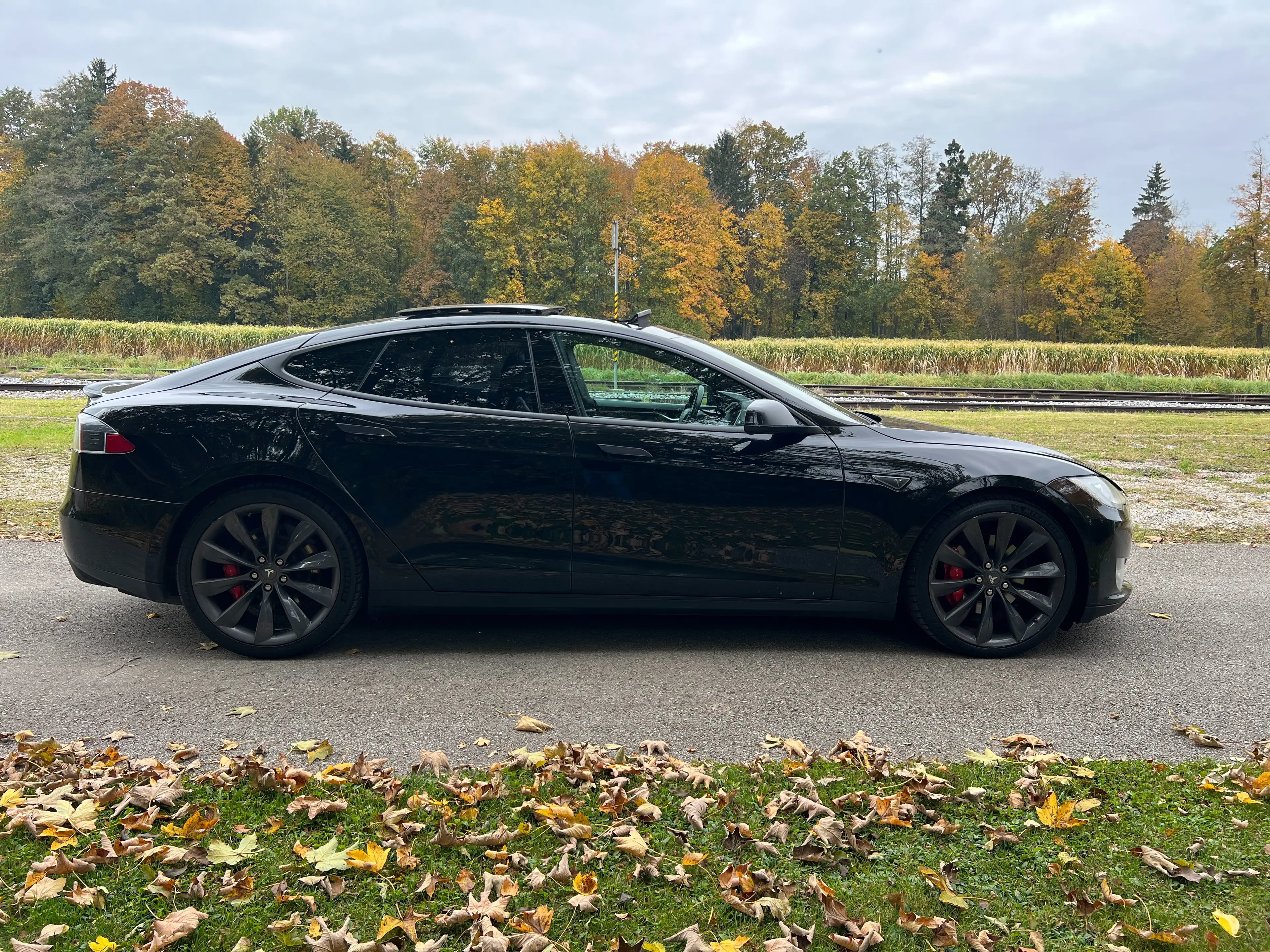 Tesla Model S P85D Performance *Ludicrous*Freecharging*PANO Dach — photo 11