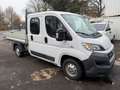 Fiat Ducato Pritsche/Doppelk. 33 115 L2 Pritsc Weiß - thumbnail 4
