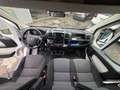 Fiat Ducato Pritsche/Doppelk. 33 115 L2 Pritsc Weiß - thumbnail 10